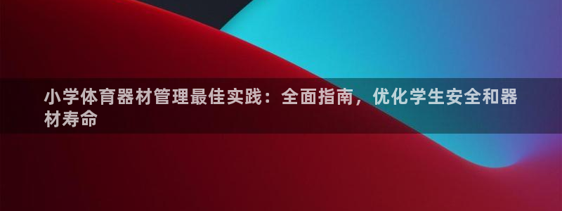 尊龙专访视频：小学体育器材管理最佳实践：全面指南，优