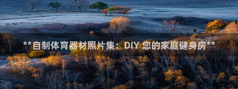 尊龙凯时台子：**自制体育器材照片集：DIY 您的家