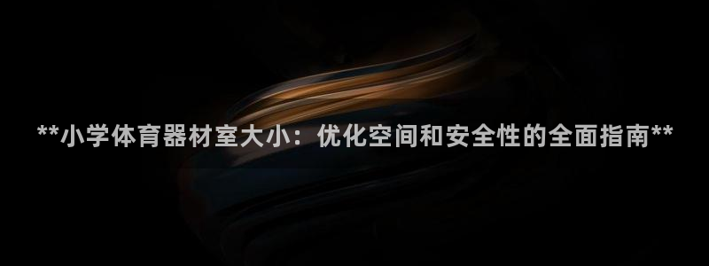 尊龙500价格：**小学体育器材室大小：优化空间和安