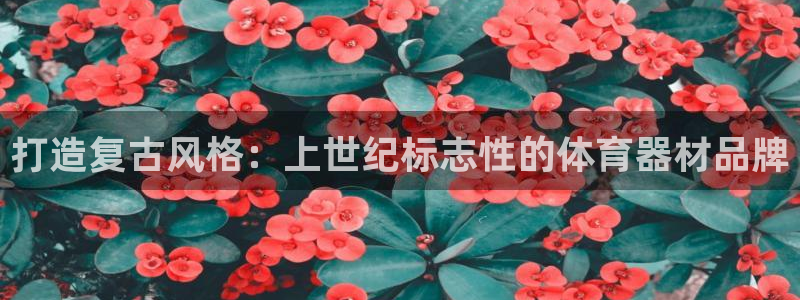 尊龙凯时网站首页手机登录：打造复古风格：上世纪标志性